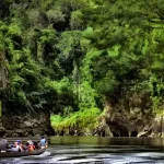 Wisata Lokal: Menjelajahi Keindahan Alam Gunung Leuser