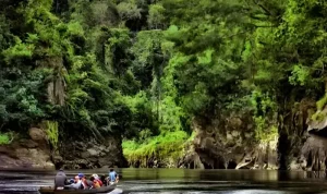 Wisata Lokal: Menjelajahi Keindahan Alam Gunung Leuser