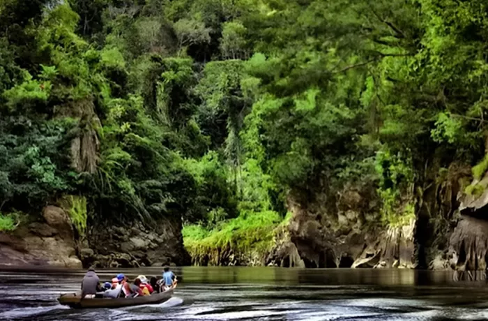 Wisata Lokal: Menjelajahi Keindahan Alam Gunung Leuser